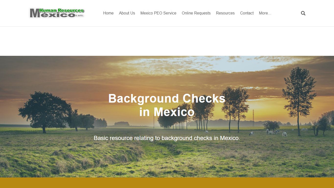 Background Checks in Mexico - Human Resources Mexico S de RL